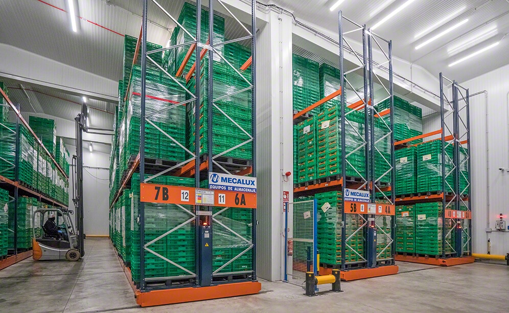 Almacén sectorizado de Grupo Alimentario Citrus a temperatura refrigerada Almacén sectorizado de Grupo Alimentario Citrus a temperatura refrigerada
