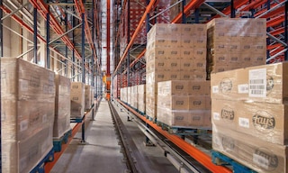 La elección del tipo de envase adecuado es clave para garantizar la protección del producto