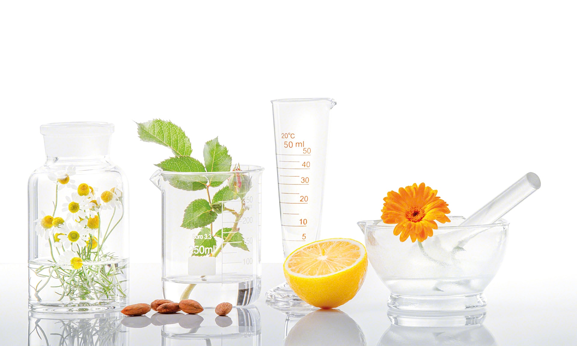 La Source digitaliza su almacén para productos naturales de dietética con Easy WMS La Source digitaliza su almacén para productos naturales de dietética con Easy WMS