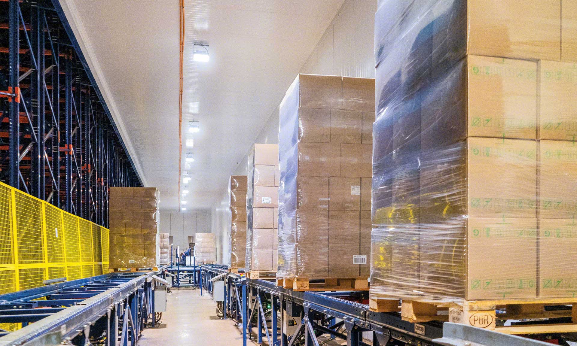 Bem Brasil gestiona 500,000 toneladas de congelados con el Pallet Shuttle Automático Bem Brasil gestiona 500,000 toneladas de congelados con el Pallet Shuttle Automático