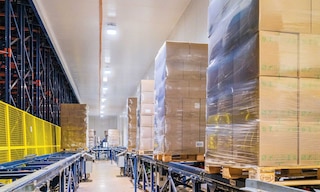 Bem Brasil gestiona 500,000 toneladas de congelados con el Pallet Shuttle Automático