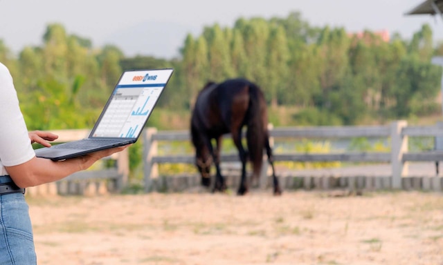 La agropecuaria Canagri gana en eficiencia al actualizar su software con Easy WMS