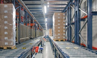 La automatización de Frigo Logistics, el 3PL líder en logística a temperatura controlada en Polonia