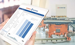 Femaş Group: almacenamiento automatizado de cajas y tarimas Femaş Group: almacenamiento automatizado de cajas y tarimas
